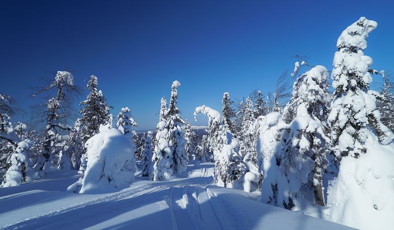 Россия, Пермский край, Помянённый Камень, Красновишерск,  Русская зима фото превью