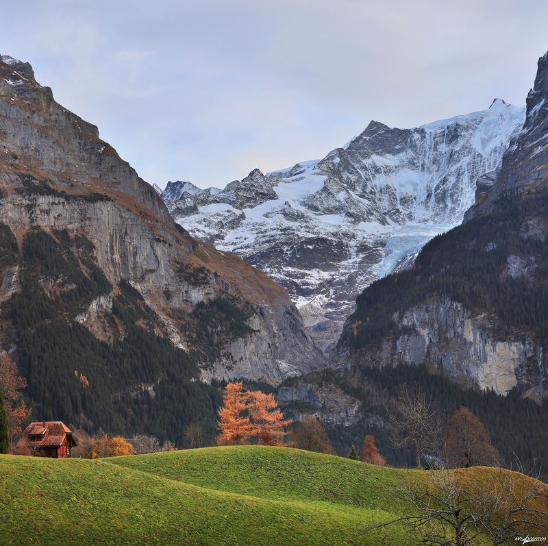 swiss Осень на пригорке... фото превью