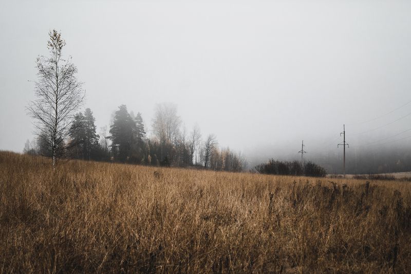 Карелия, республика Карелия, природа Карелии, Лахденпохья, Сортавала, туман Осенний туман фото превью