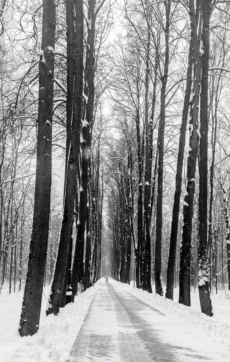 , Фото Александр