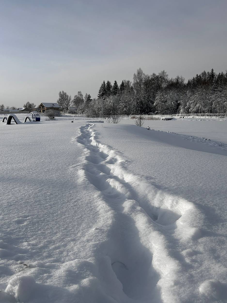 , Новикова Ольга