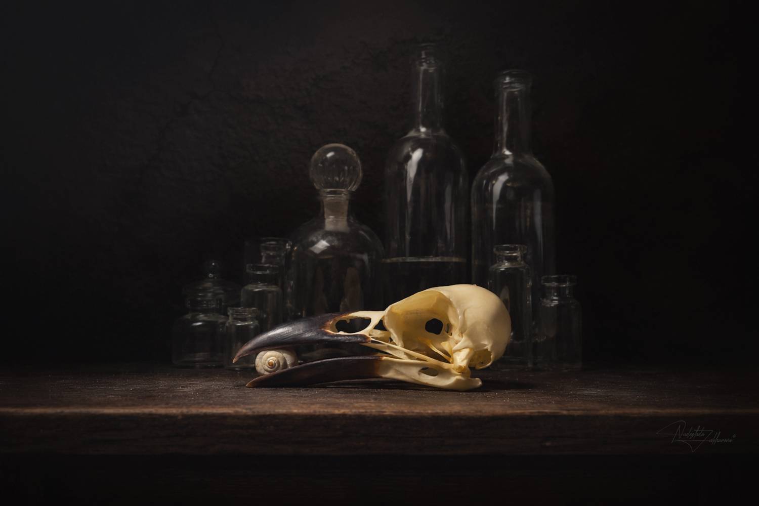 натюрморт, ванитас, натюрморт с черепами, черепа, Nadezhda Zakharova