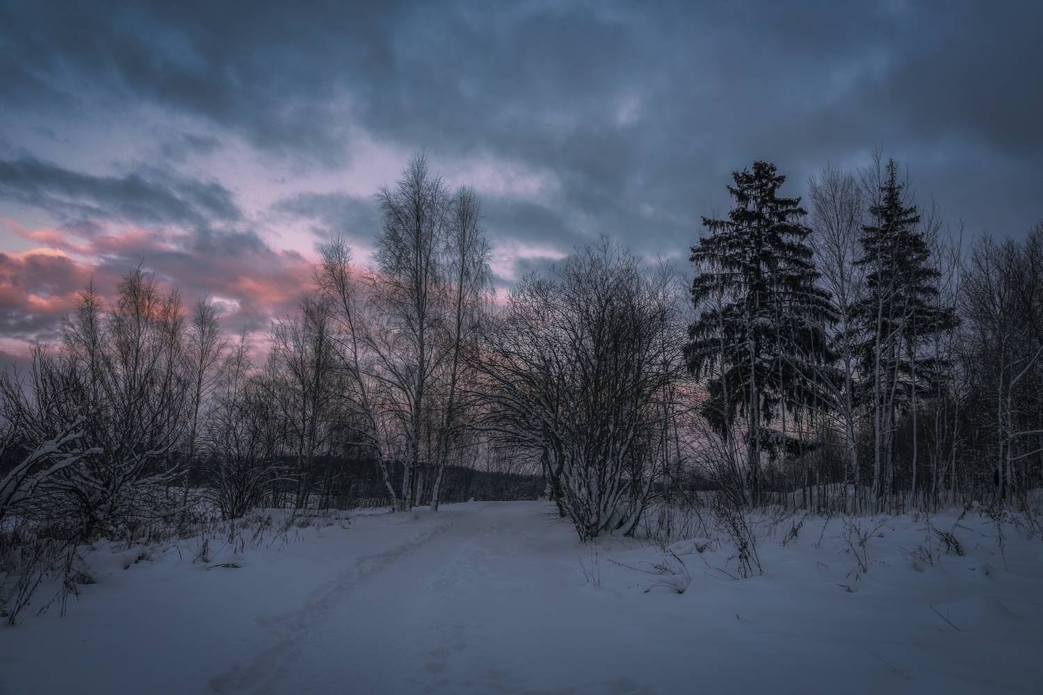 Московская область, Гусева Елена