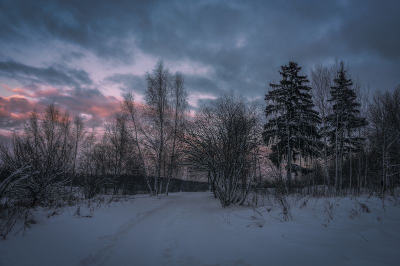 Московская область  фото превью