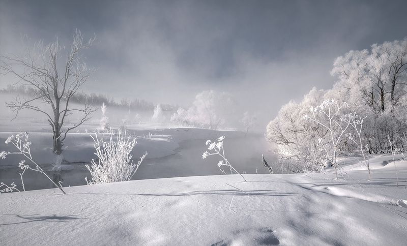 ... фото превью