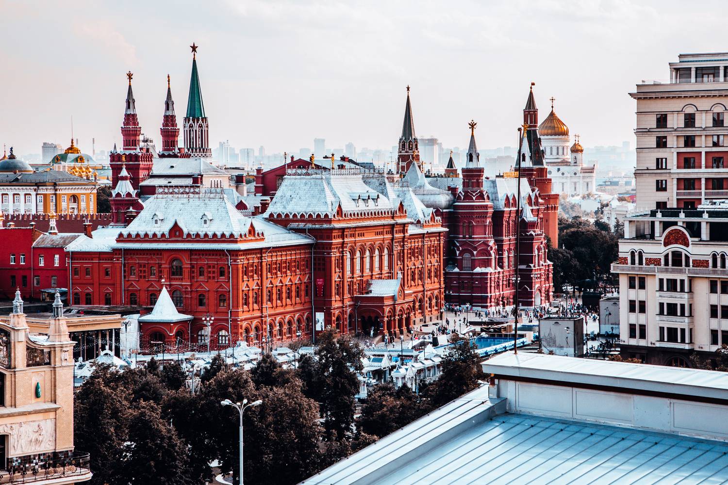 , Трепольский Дмитрий