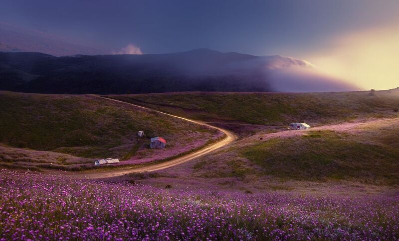 salansar фото превью