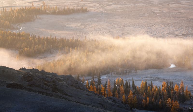 Курай фото превью
