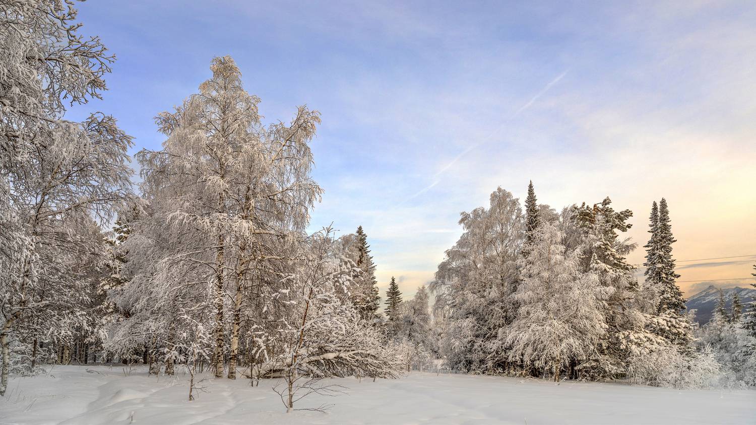 , Ушаков Валерий