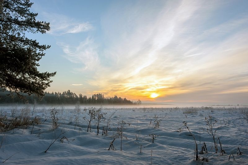 Январское утро фото превью
