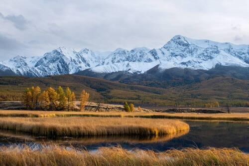 классика Джангысколя