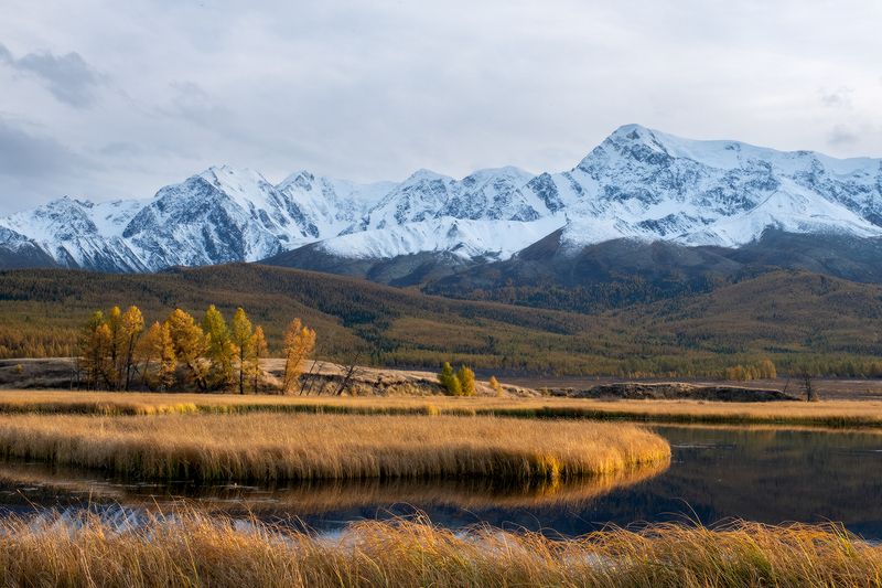 классика Джангысколя фото превью