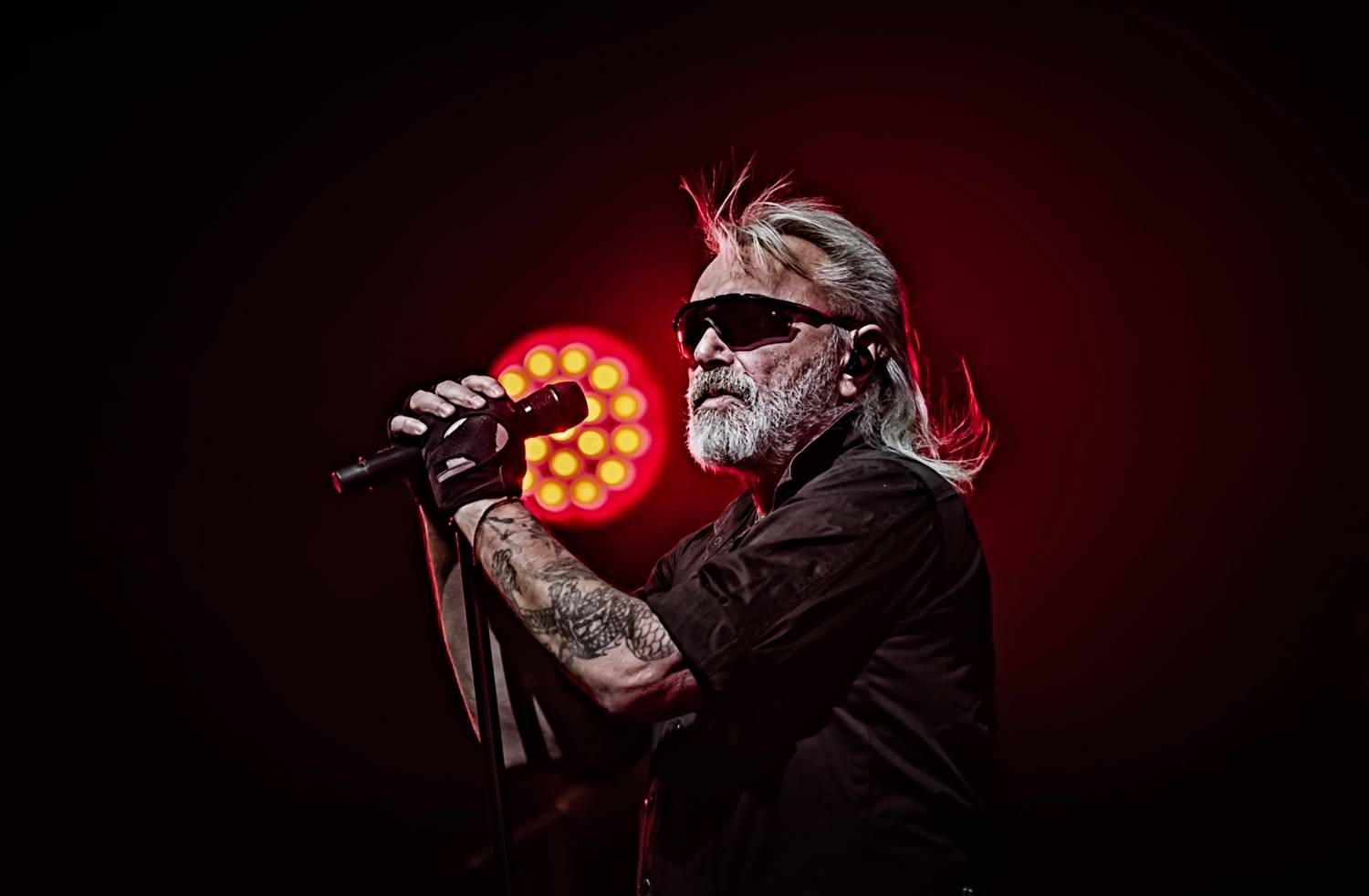 , Вольхин Александр