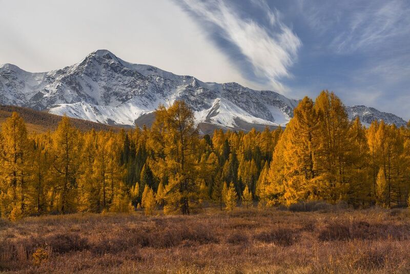 россия, горный алтай,счх,лиственницы, осень Лёд и пламень фото превью