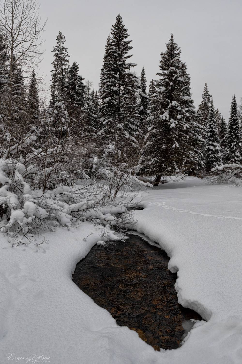 пейзаж, тайга, река, таганай, тесьма, Евгений Гецев