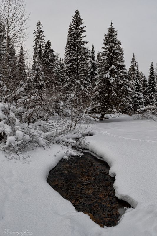пейзаж, тайга, река, таганай, тесьма Проталина фото превью