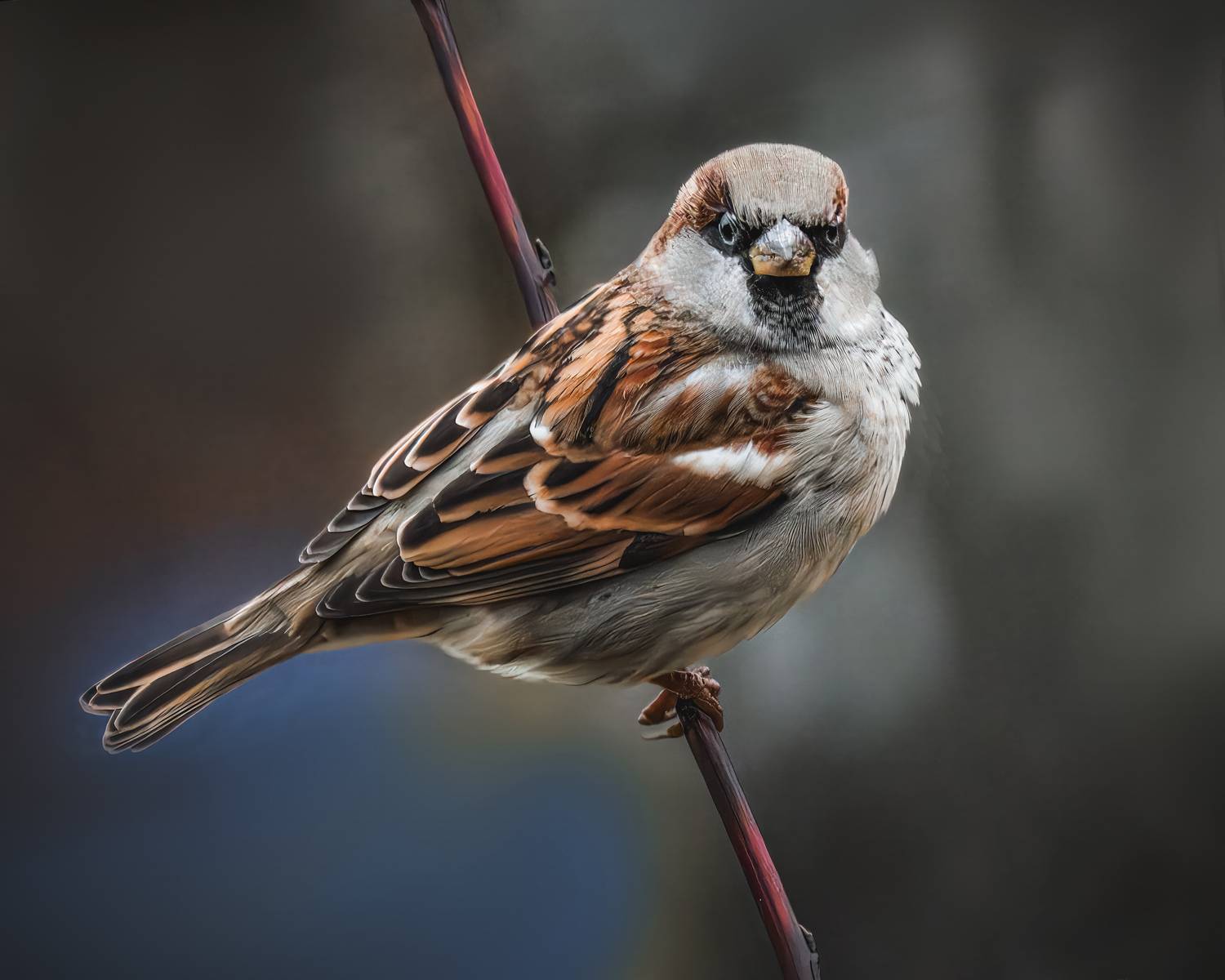 , Ворожцова Марина