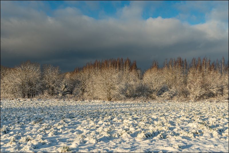 Попутное фото превью