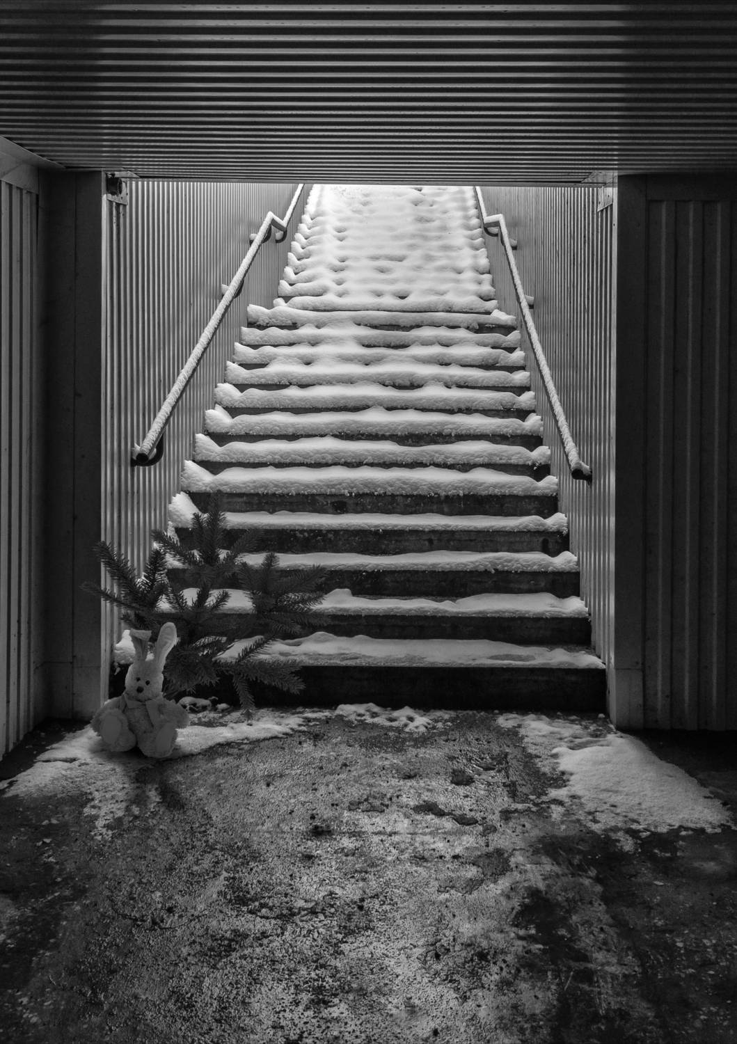 , Каменев Виталий