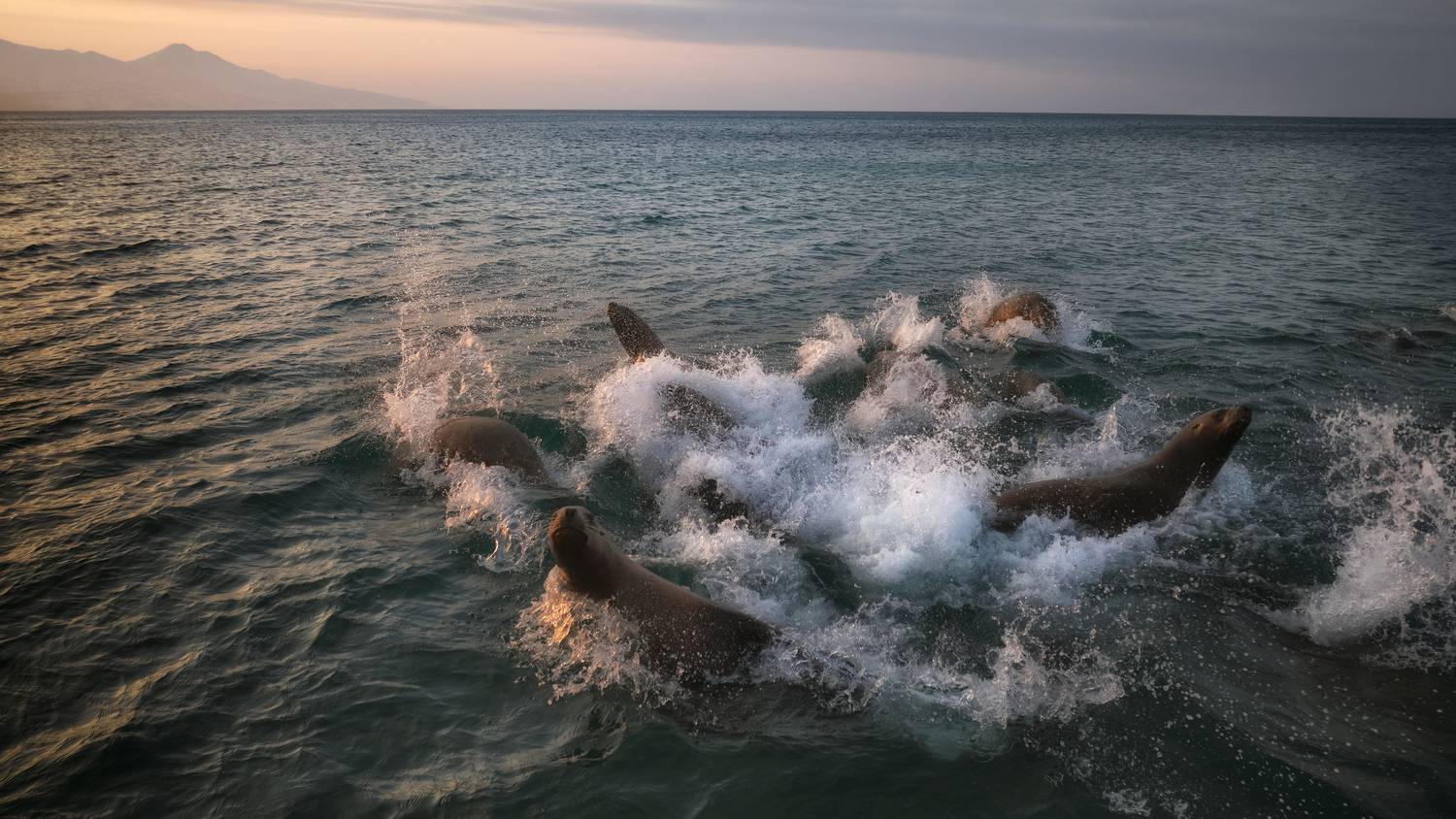 Белый скалы Итуруп Курилы Дальний восток Сахалин, Ivan Godovikov