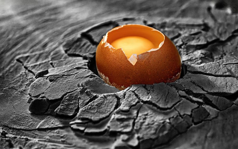 концептуальная, фотография И как же ? Спасибо фото превью