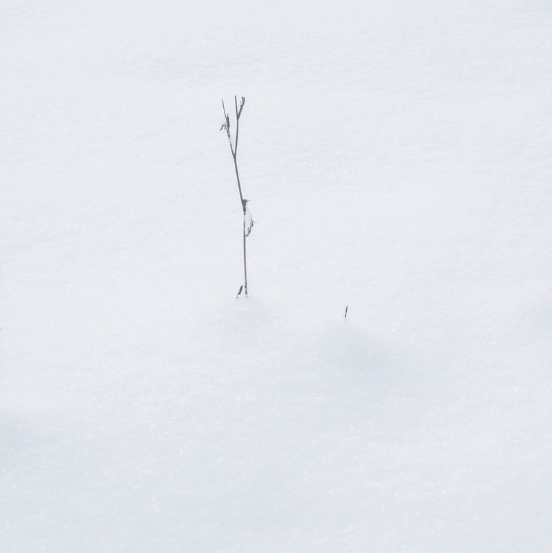 минимализм, интимный пейзаж, снег, зима, пейзаж, абстракция, зауралье, курганская область Большое и малое фото превью