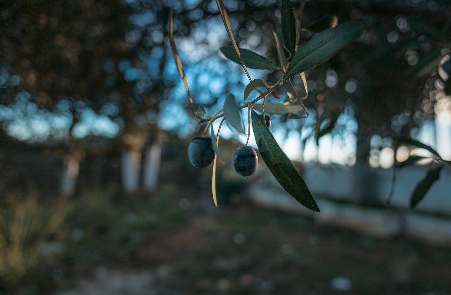 , Костыря Владимир