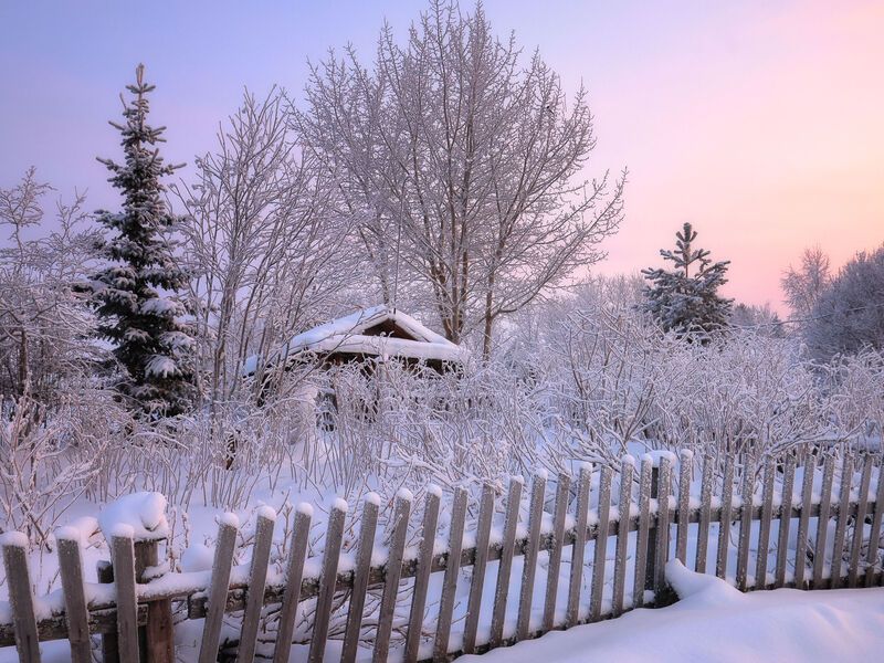 Зимнее утро... фото превью