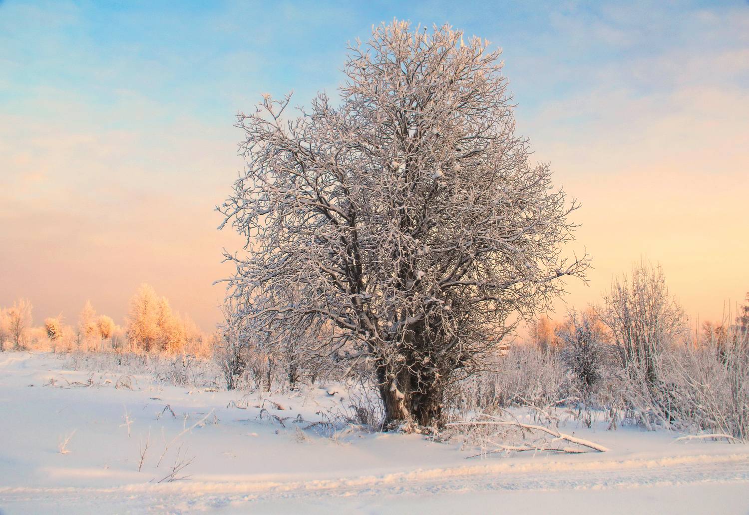 Зима, галина новинская