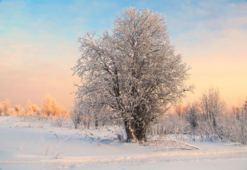 Зима Морозный денек фото превью