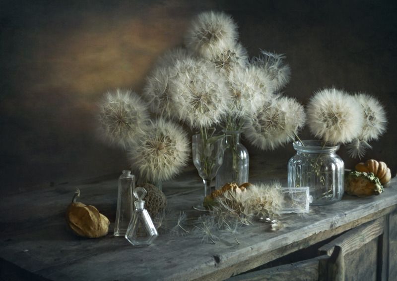 одуванчики Пушистые и воздушные фото превью