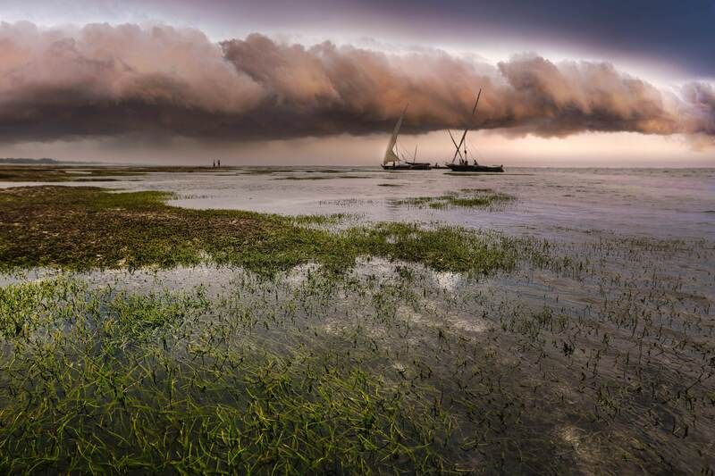 Indian Ocean фото превью