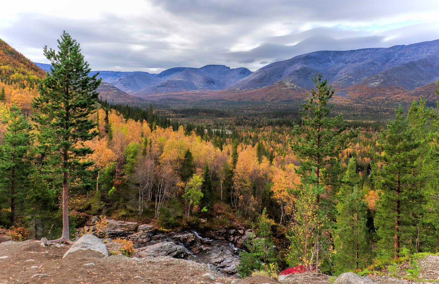 , Александр Смыков