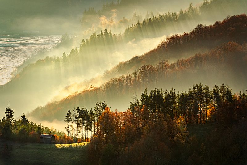 landscape, nature, scenery, summer, sunrise, morning, dawn, fog, foggy, mist, misty, clouds, mountain, trees, пейзаж, рассвет, горы Among the rays фото превью