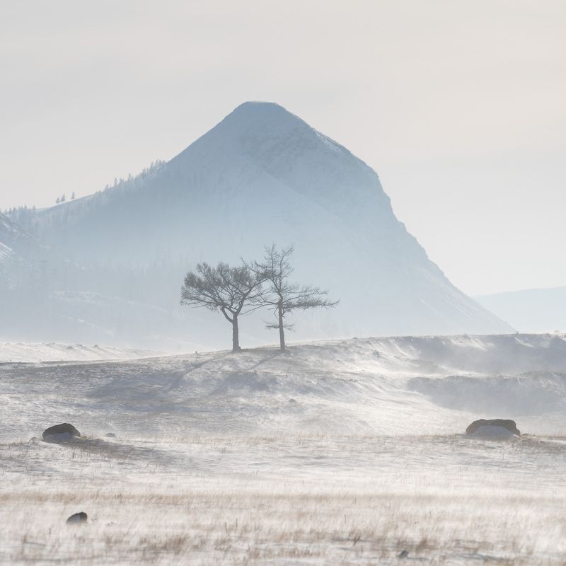 Поземок …  Blizzard ... фото превью