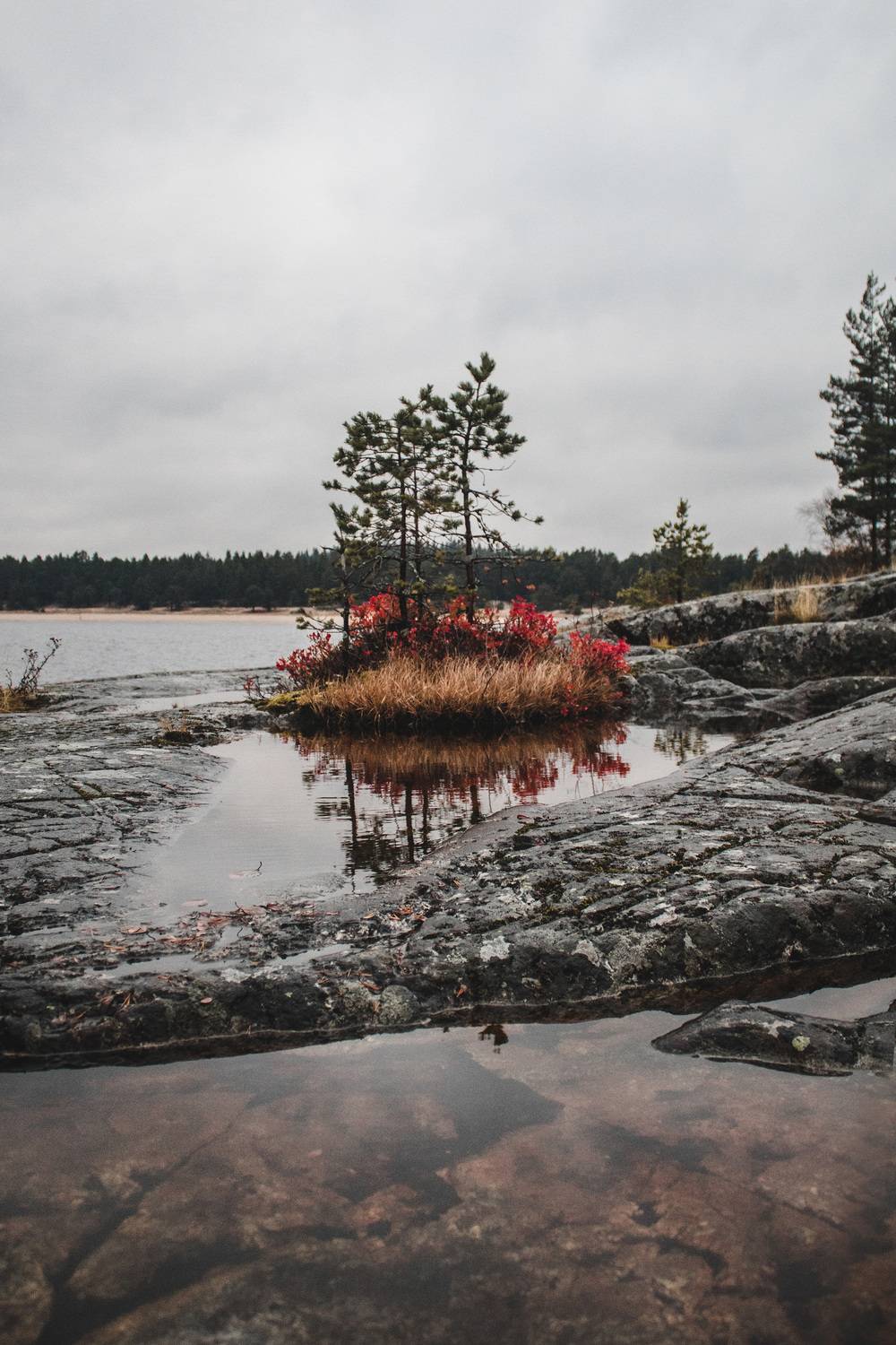 Карелия, республика Карелия, природа Карелии, Лахденпохья, Сортавала, туман, Ладога, Ладожское озеро, Ладожские шхеры, Кормашова Татьяна