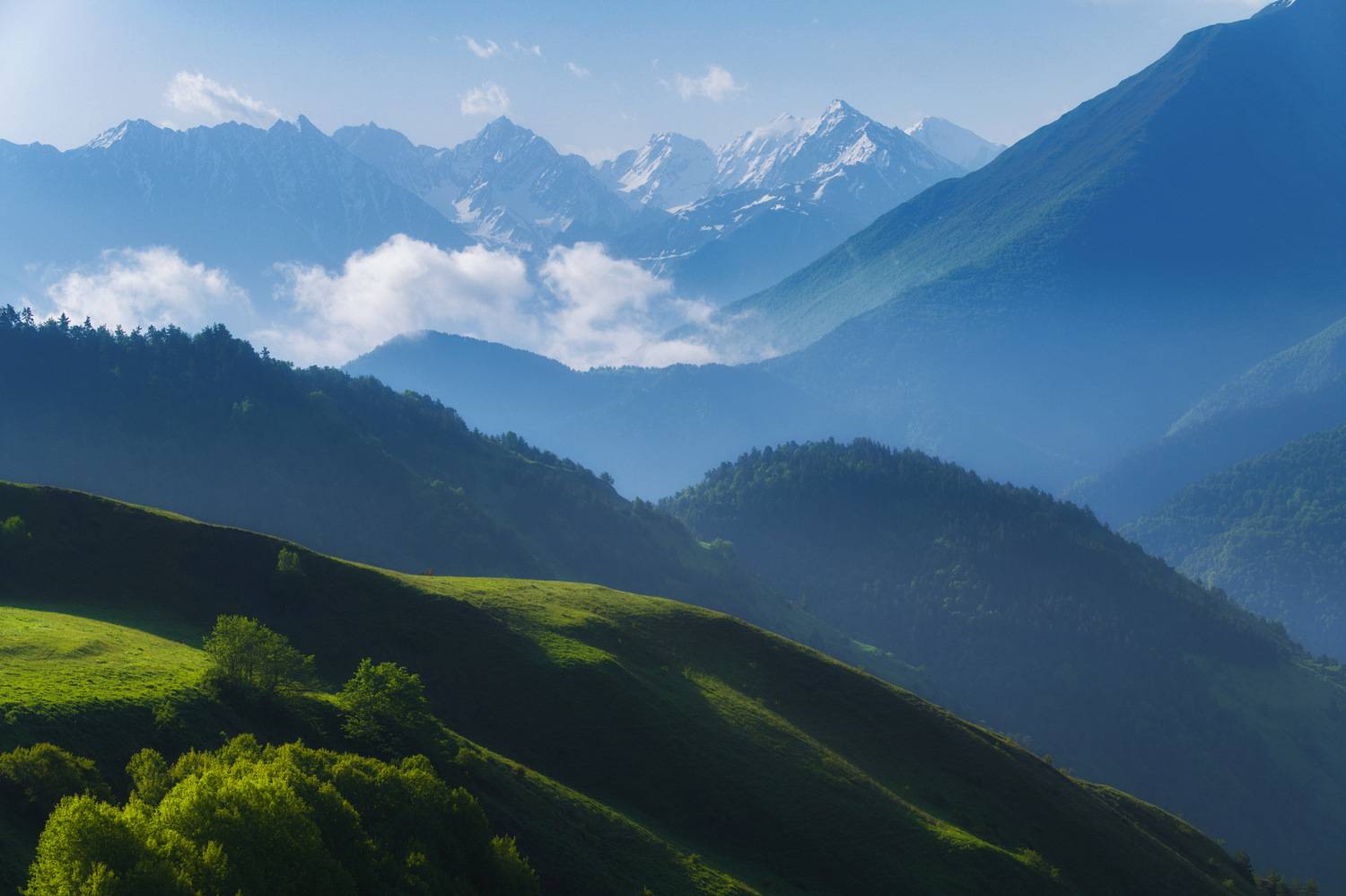 , Алексей Кретов