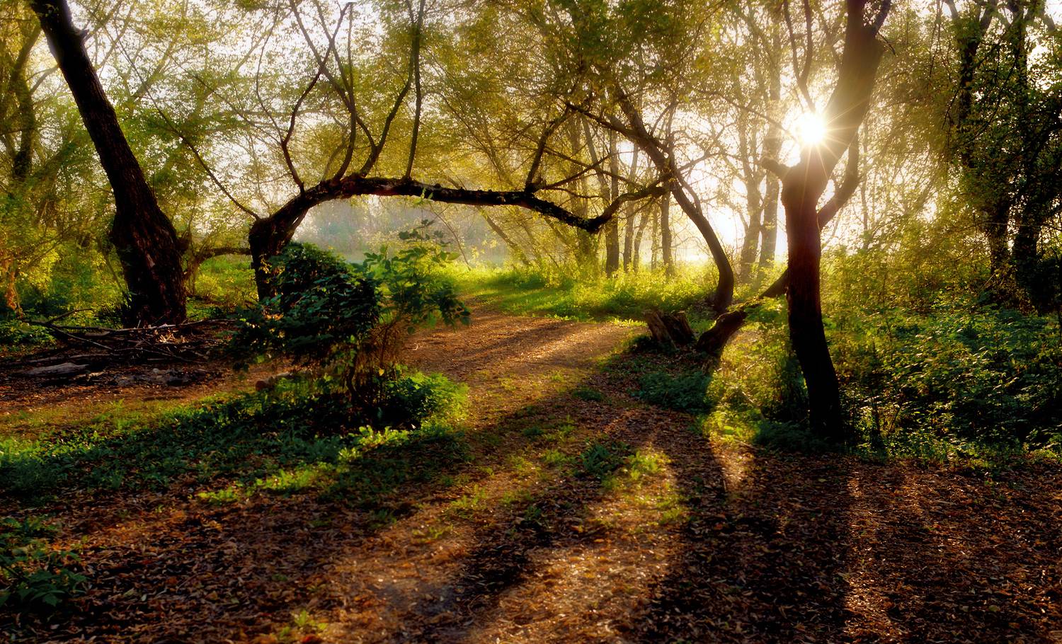 , Рукин Иван