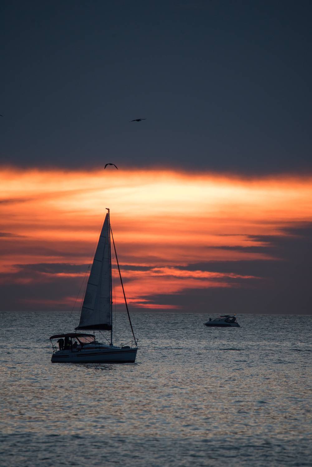 , Величко Дмитрий