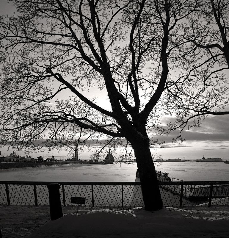 *** фото превью