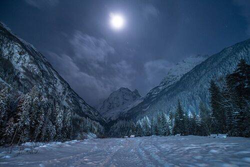 ЛУННАЯ НОЧЬ