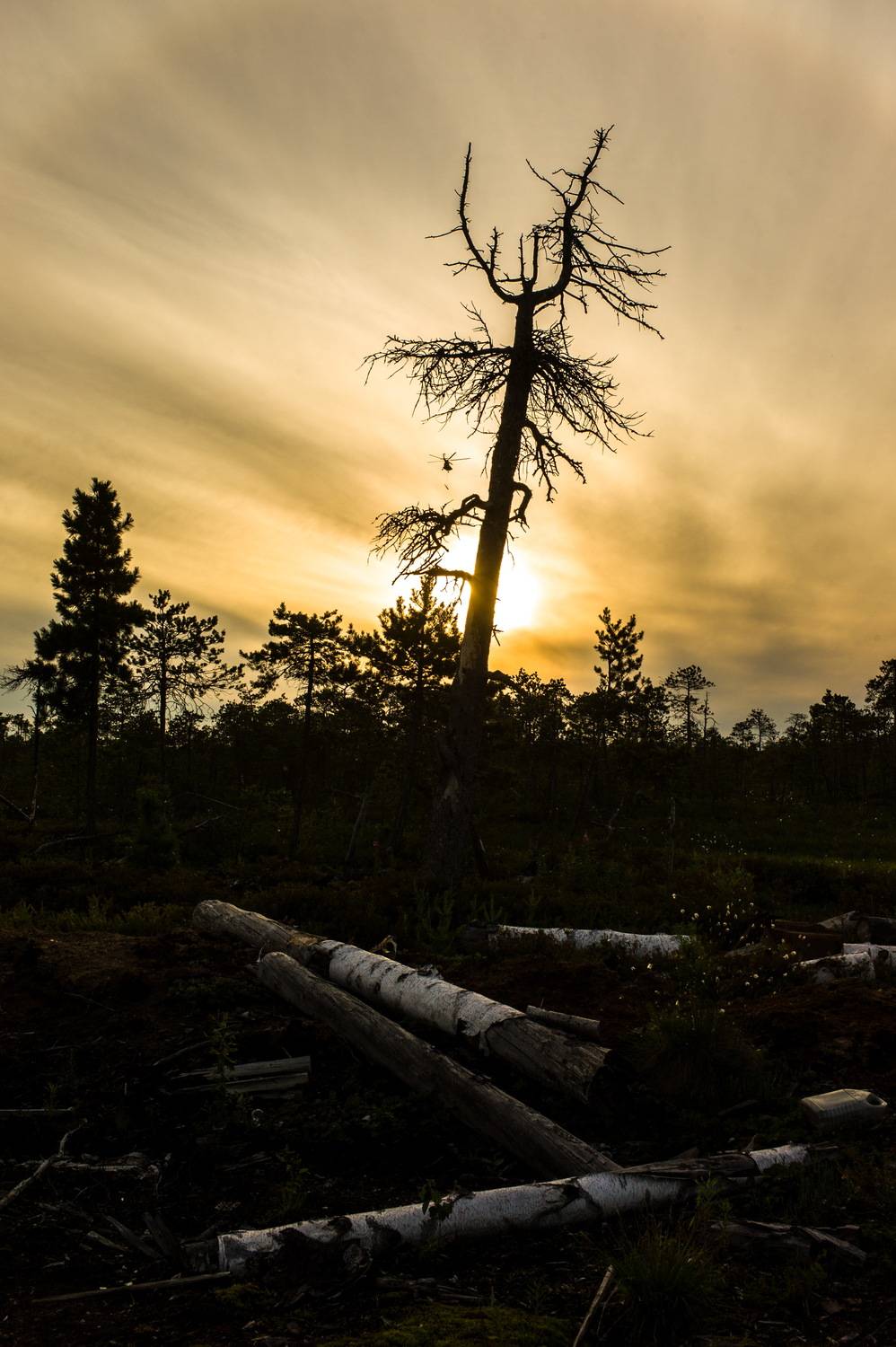 вертолет, Михаил Дронов