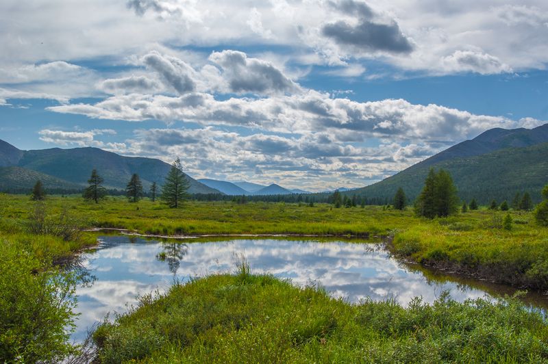 Лето, ах лето... фото превью