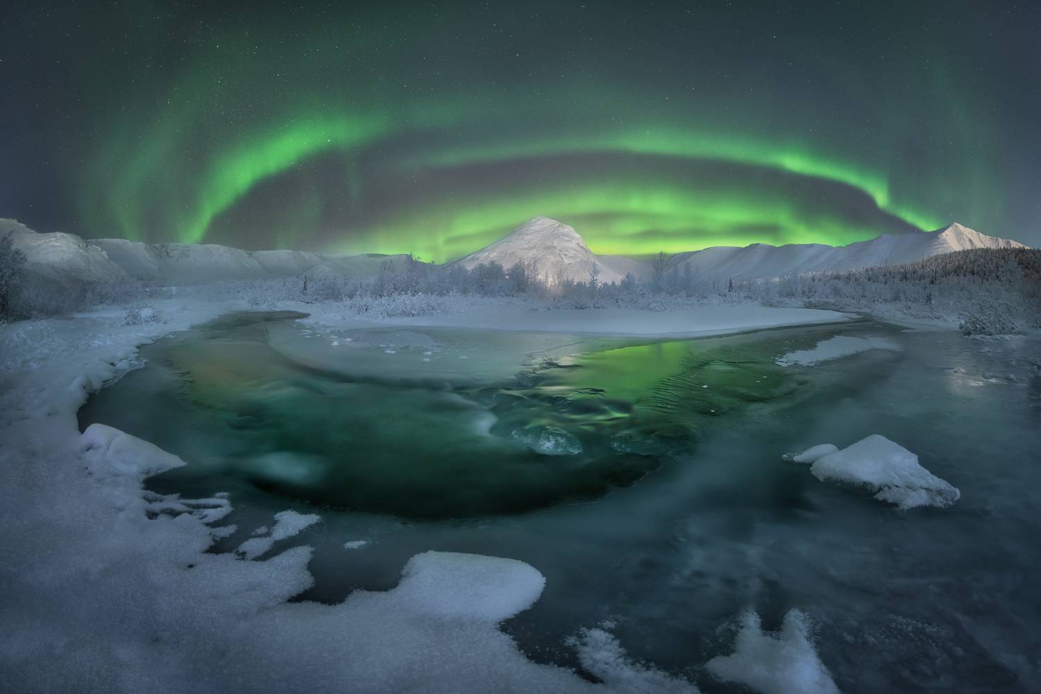 кольский, Андрей Грачев