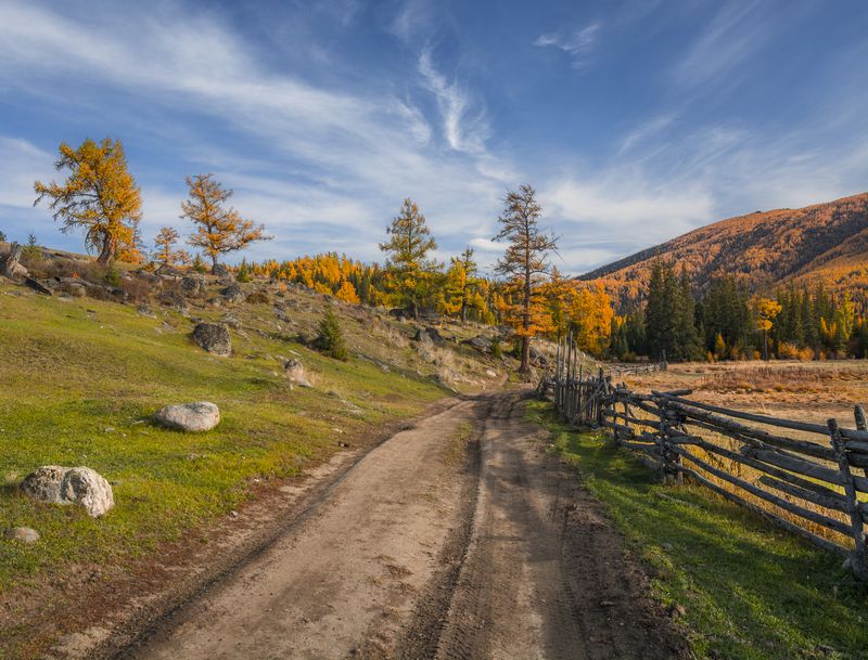 россия, горный алтай,осень, грунтовая дорога, глубинка В глубинке фото превью