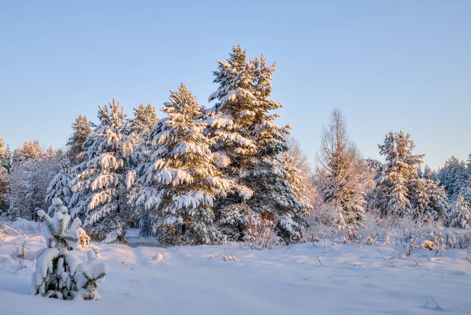 январь зима мороз солнце день, Igor Shishpanov
