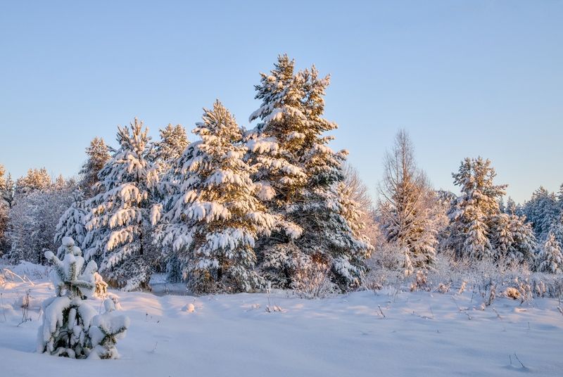январь зима мороз солнце день Морозно фото превью