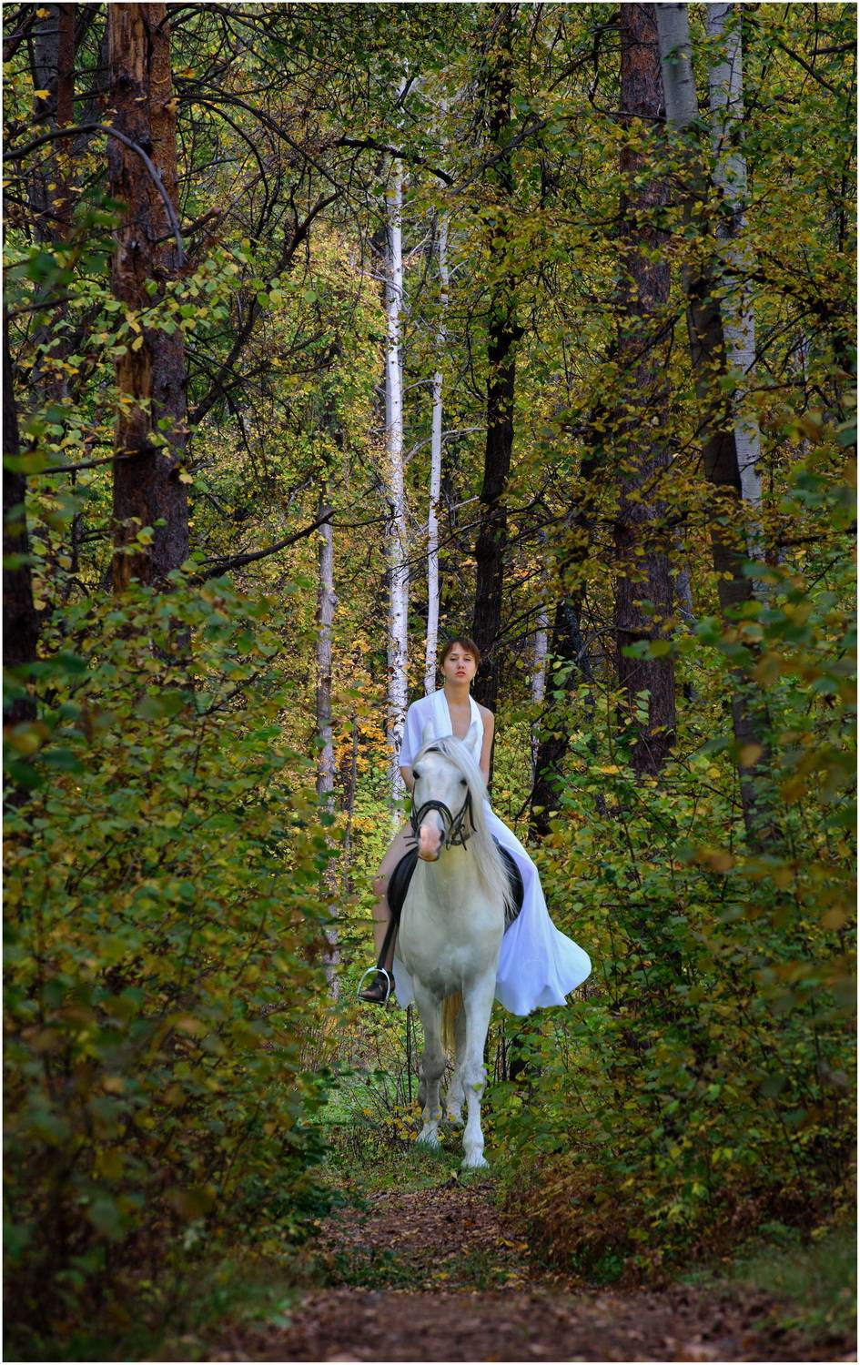 , Владимир Краснов