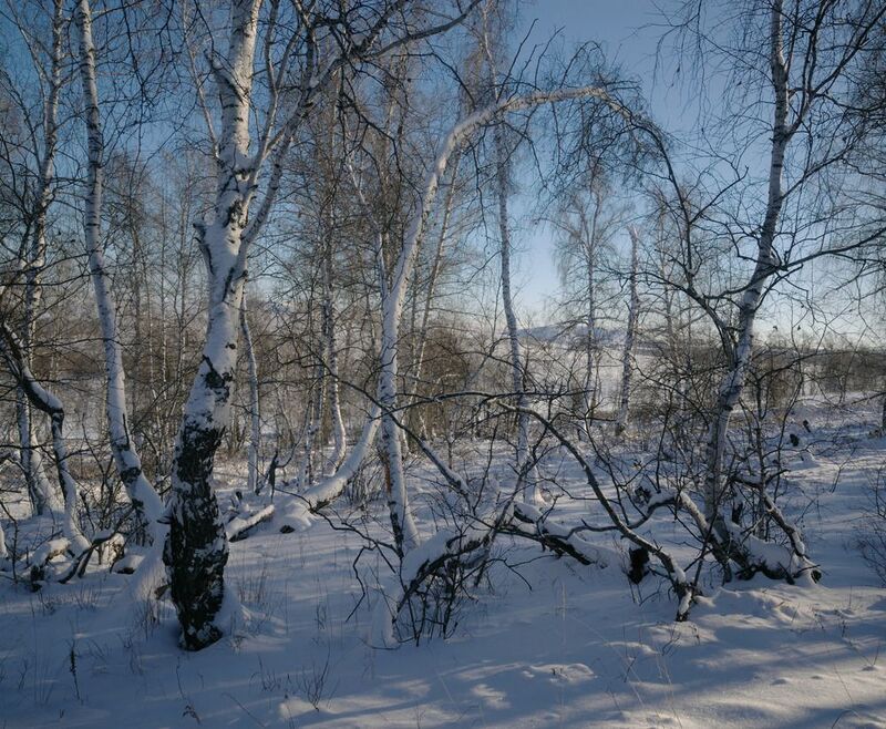 горный прилесок фото превью