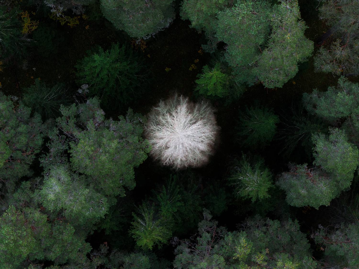 Валаам, Кондратенко Руслан